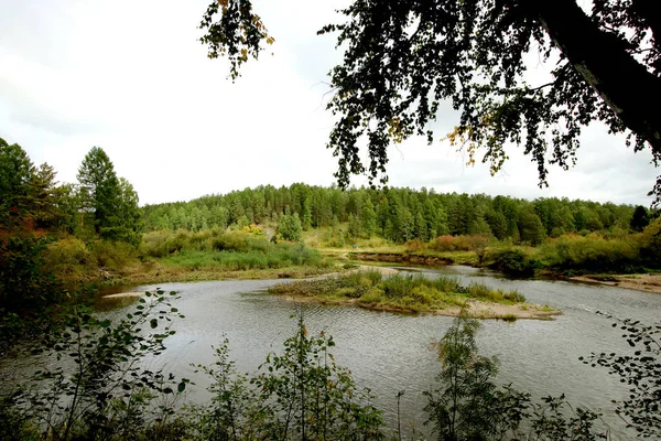 Été Automne Hiver Beaux Arbres Dans Les Parcs Ville Beaucoup — Photo