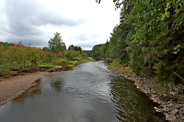 in summer, autumn and winter, there are beautiful trees in the city's parks. There are many ducks, gulls, pigeons, crows, tits and swans. You can meet squirrels and dogs. Flowers and mushrooms grow. There are lakes and rivers.