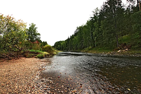 in summer, autumn and winter, there are beautiful trees in the city's parks. There are many ducks, gulls, pigeons, crows, tits and swans. You can meet squirrels and dogs. Flowers and mushrooms grow. There are lakes and rivers.