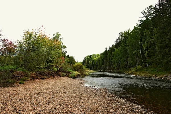 in summer, autumn and winter, there are beautiful trees in the city's parks. There are many ducks, gulls, pigeons, crows, tits and swans. You can meet squirrels and dogs. Flowers and mushrooms grow. There are lakes and rivers.