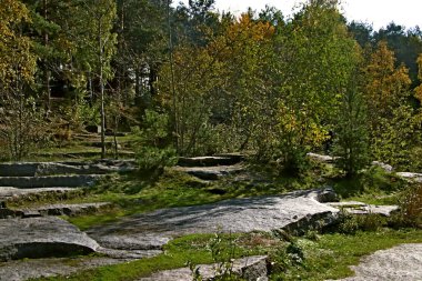 in summer, autumn and winter, there are beautiful trees in the city's parks. There are many ducks, gulls, pigeons, crows, tits and swans. You can meet squirrels and dogs. Flowers and mushrooms grow. There are lakes and rivers.