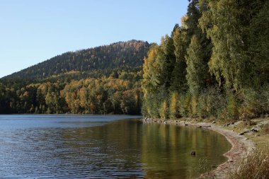 in summer, autumn and winter, there are beautiful trees in the city's parks. There are many ducks, gulls, pigeons, crows, tits and swans. You can meet squirrels and dogs. Flowers and mushrooms grow. There are lakes and rivers.