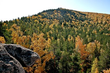 in summer, autumn and winter, there are beautiful trees in the city's parks. There are many ducks, gulls, pigeons, crows, tits and swans. You can meet squirrels and dogs. Flowers and mushrooms grow. There are lakes and rivers.