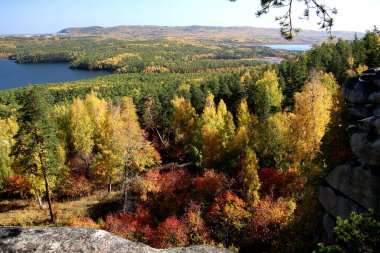in summer, autumn and winter, there are beautiful trees in the city's parks. There are many ducks, gulls, pigeons, crows, tits and swans. You can meet squirrels and dogs. Flowers and mushrooms grow. There are lakes and rivers.