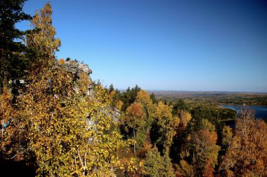 in summer, autumn and winter, there are beautiful trees in the city's parks. There are many ducks, gulls, pigeons, crows, tits and swans. You can meet squirrels and dogs. Flowers and mushrooms grow. There are lakes and rivers.