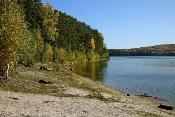 Été Automne Hiver Beaux Arbres Dans Les Parcs Ville Beaucoup — Photo