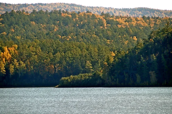 Été Automne Hiver Beaux Arbres Dans Les Parcs Ville Beaucoup — Photo