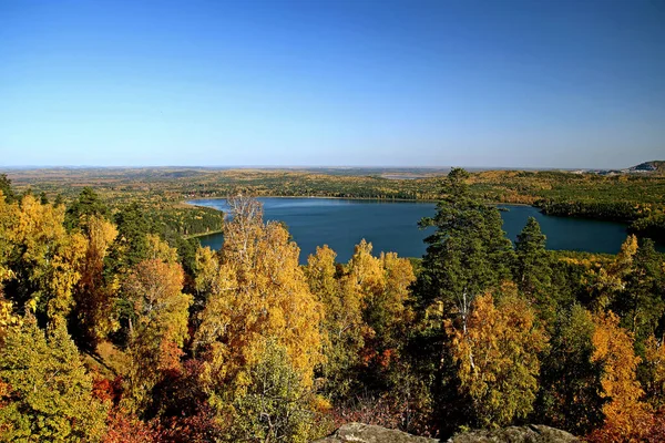 Sommer Herbst Und Winter Gibt Wunderschöne Bäume Den Parks Der — Stockfoto