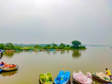 Hindistan Punjab 'ın renkli güvercin grubu güvercini kapatın.