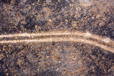 Orman yangını toprağı ve geçidi yaktı..