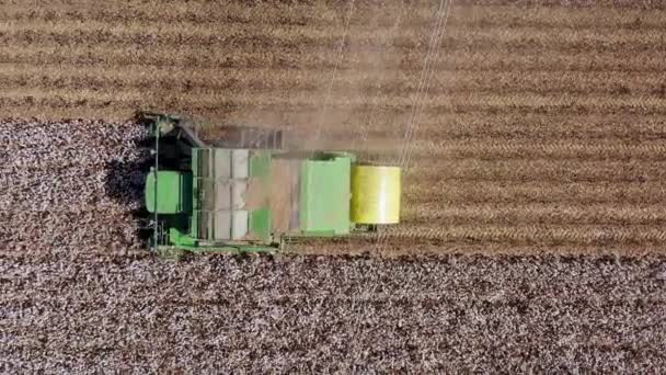 Luftaufnahmen eines großen Baumwollpflückers bei der Ernte eines Feldes. — Stockvideo