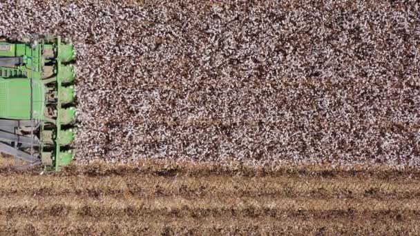 Luchtopname van een grote katoenplukker die een veld oogst. — Stockvideo