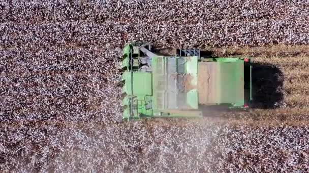 Aerial footage of a Large Cotton picker harvesting a field. — Stock Video