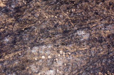 Orman yangını toprağı ve geçidi yaktı..