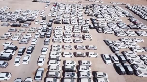 Carros novos cobertos de folhas brancas de protecção estacionadas numa plataforma de retenção . — Vídeo de Stock