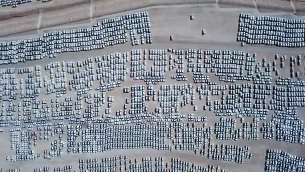 Coches nuevos cubiertos con sábanas blancas protectoras estacionadas en una plataforma de sujeción . — Vídeos de Stock