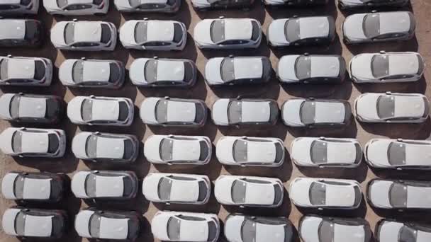 Carros novos cobertos de folhas brancas de protecção estacionadas numa plataforma de retenção . — Vídeo de Stock