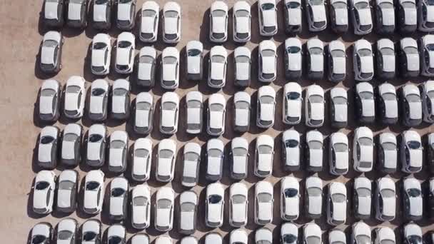 Nieuwe auto 's bedekt met beschermende witte lakens geparkeerd op een perron. — Stockvideo