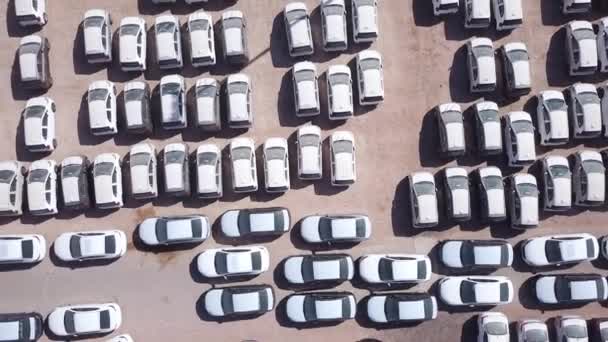 Coches nuevos cubiertos con sábanas blancas protectoras estacionadas en una plataforma de sujeción . — Vídeos de Stock