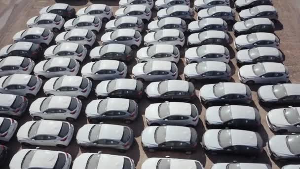 Νέα αυτοκίνητα καλυμμένα με προστατευτικά λευκά φύλλα σταθμευμένα σε πλατφόρμα συγκράτησης. — Αρχείο Βίντεο