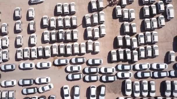 Νέα αυτοκίνητα καλυμμένα με προστατευτικά λευκά φύλλα σταθμευμένα σε πλατφόρμα συγκράτησης. — Αρχείο Βίντεο