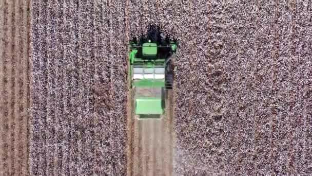 Luftaufnahmen eines großen Baumwollpflückers bei der Ernte eines Feldes. — Stockvideo