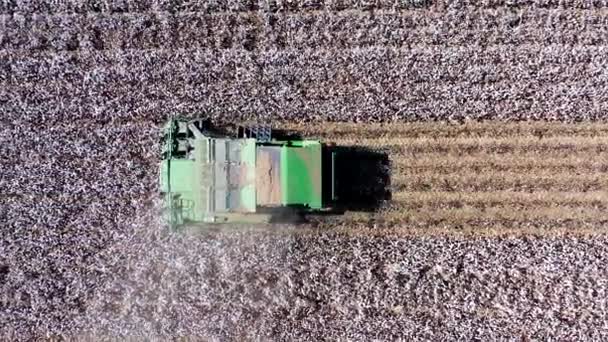 Filmato aereo di un grande raccoglitore di cotone che raccoglie un campo. — Video Stock