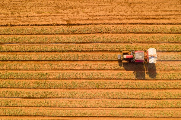 Traktor som transporterar en tvåskivig gödselspridare på ett stort fält — Stockfoto