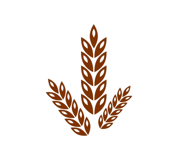 Beyaz arkaplanda vektör simgesi olgunlaşmış buğday kulağı.