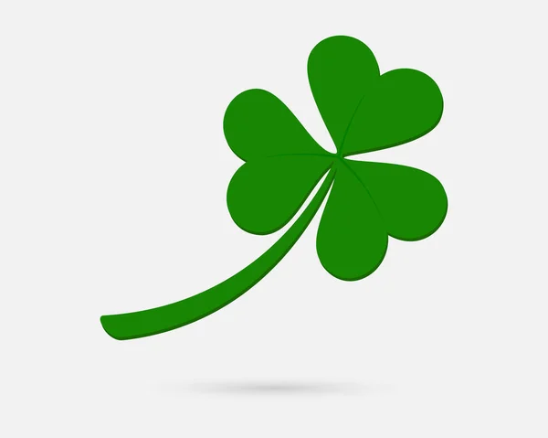 Gri arkaplanda yeşil yonca yaprağı.