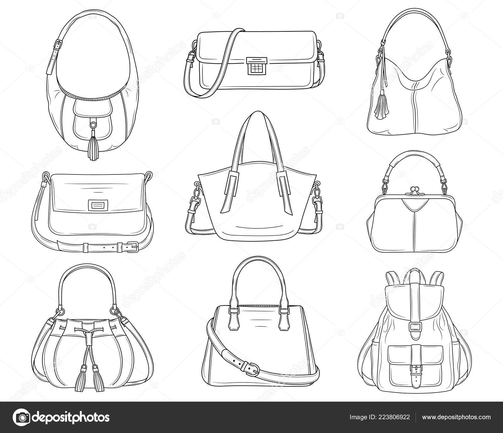 Women fashion handbags collection, vector illustration. Different