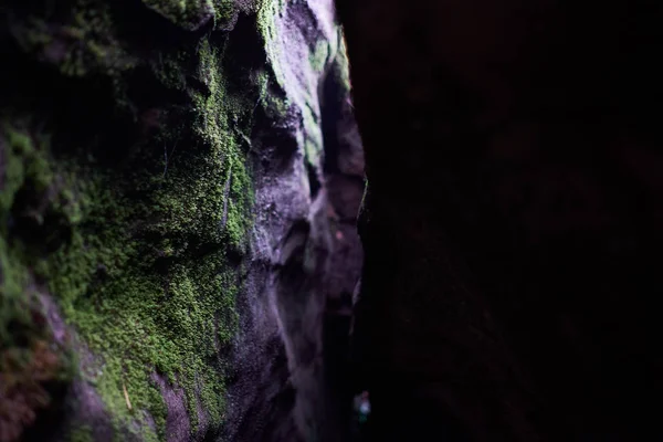 Groene Mos Een Stenen Spleet Andere Helft Duisternis — Stockfoto