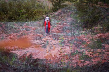 ormanda güzel kostümlü bir roach kızla