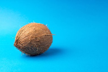 mavi bir arka plan üzerinde tüm Hindistan cevizi