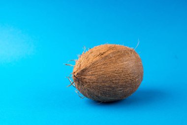 mavi bir arka plan üzerinde tüm Hindistan cevizi