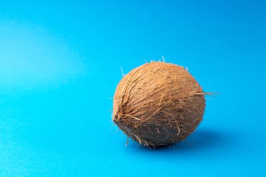 mavi bir arka plan üzerinde tüm Hindistan cevizi