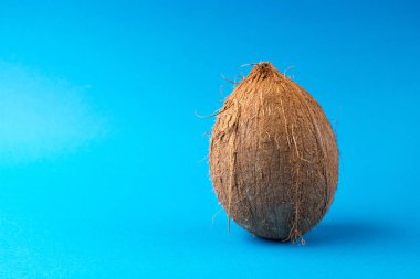 mavi bir arka plan üzerinde tüm Hindistan cevizi