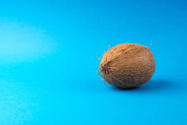 Coco Inteiro Sobre Fundo Azul — Fotografia de Stock