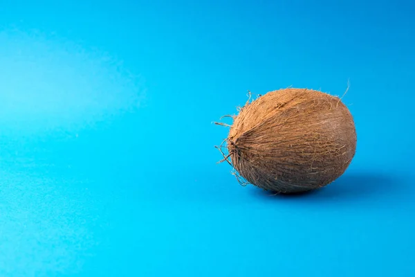 青色の背景に全体のココナッツ — ストック写真