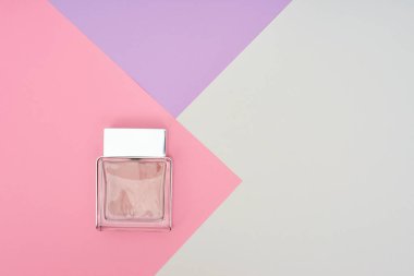 Parfüm şişesi pastel arka plan üzerinde. En az stili.