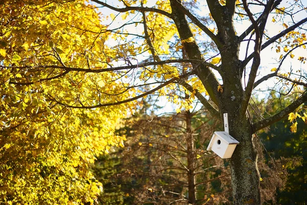 Blick Auf Vogelhaus Auf Baumstamm Herbstpark — Stockfoto