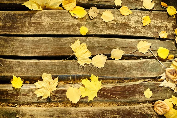Сухие Желтые Листья Лежат Деревянных Досках — стоковое фото