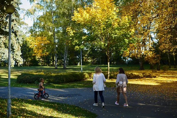 people walking in autumn park