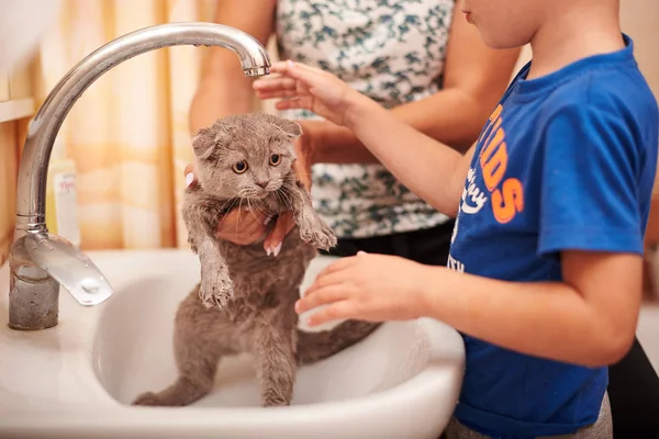 Anak Kecil Dan Kucing Kamar Mandi Stok Gambar