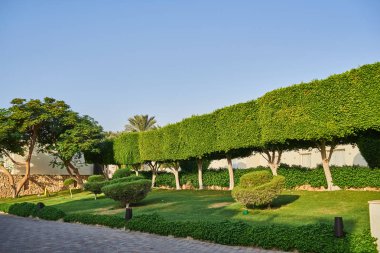 doğal görünümünü tatil herşey dahil otel