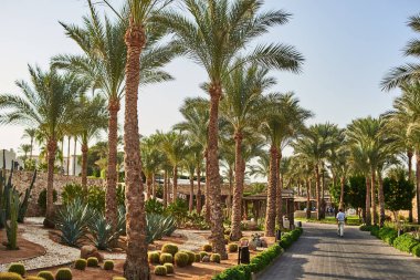 doğal görünümünü tatil herşey dahil otel