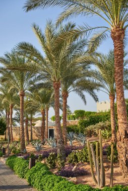 doğal görünümünü tatil herşey dahil otel