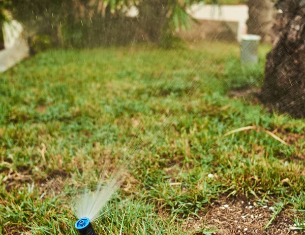 Nära Håll Arbeta Sprinkler Och Gräs — Stockfoto