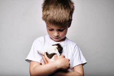 Küçük çocuk gri arka plan üzerinde köpek yavrusu tutan