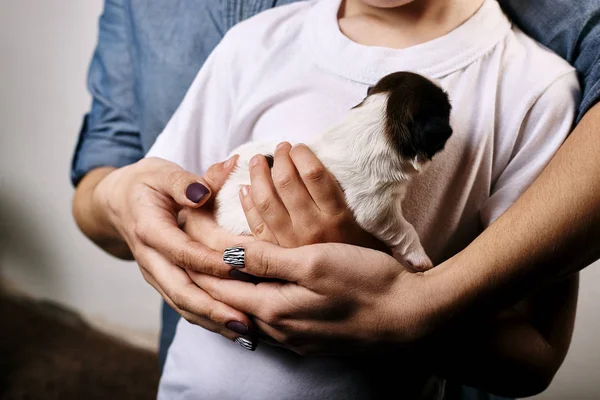 Recortado Tiro Mujer Con Hijo Sosteniendo Poco Cachorro — Foto de Stock